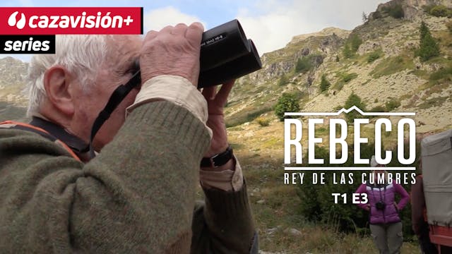 La voz de la experiencia