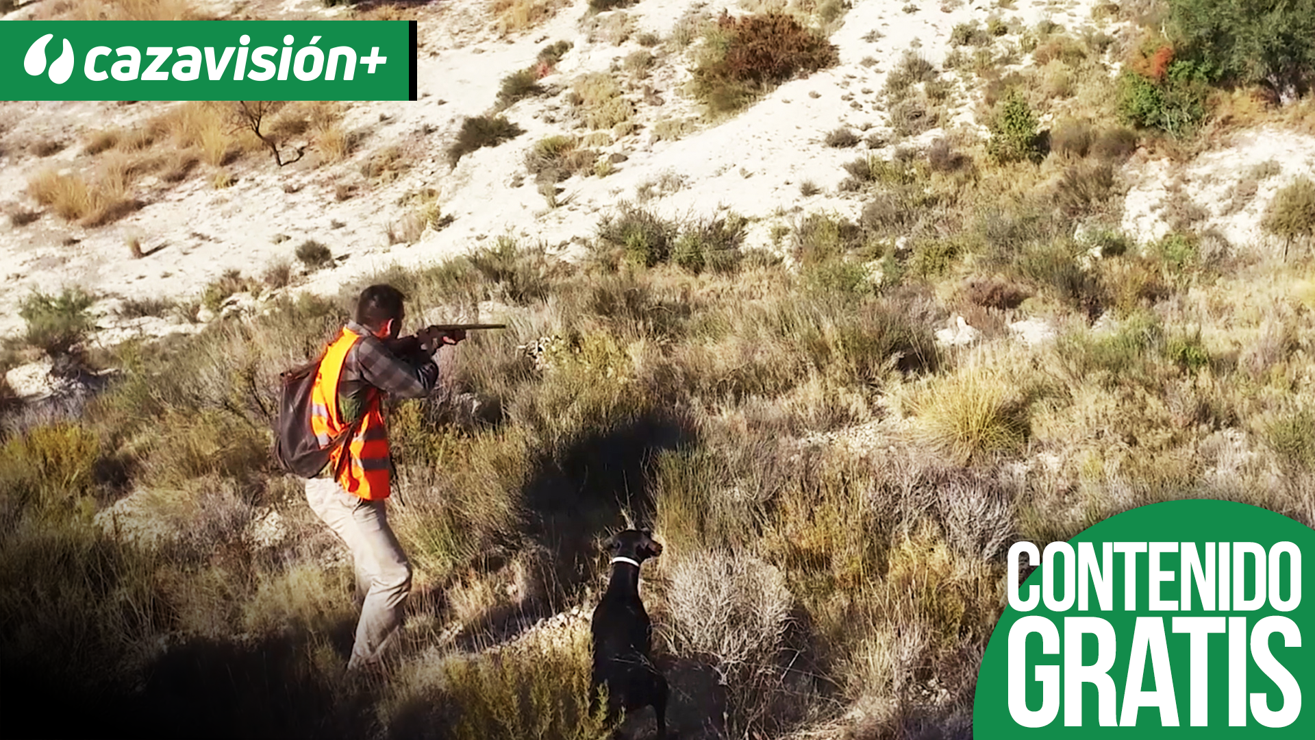 A conejos con el dios de los vientos