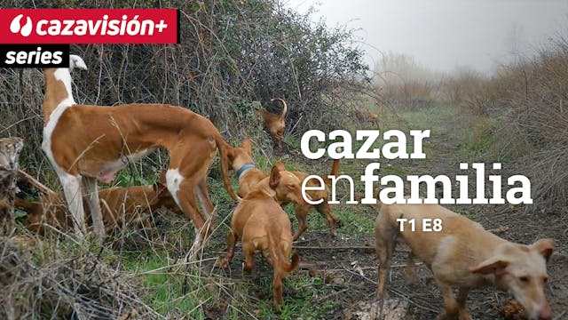 Cazar en familia: Cazadores sin escopeta