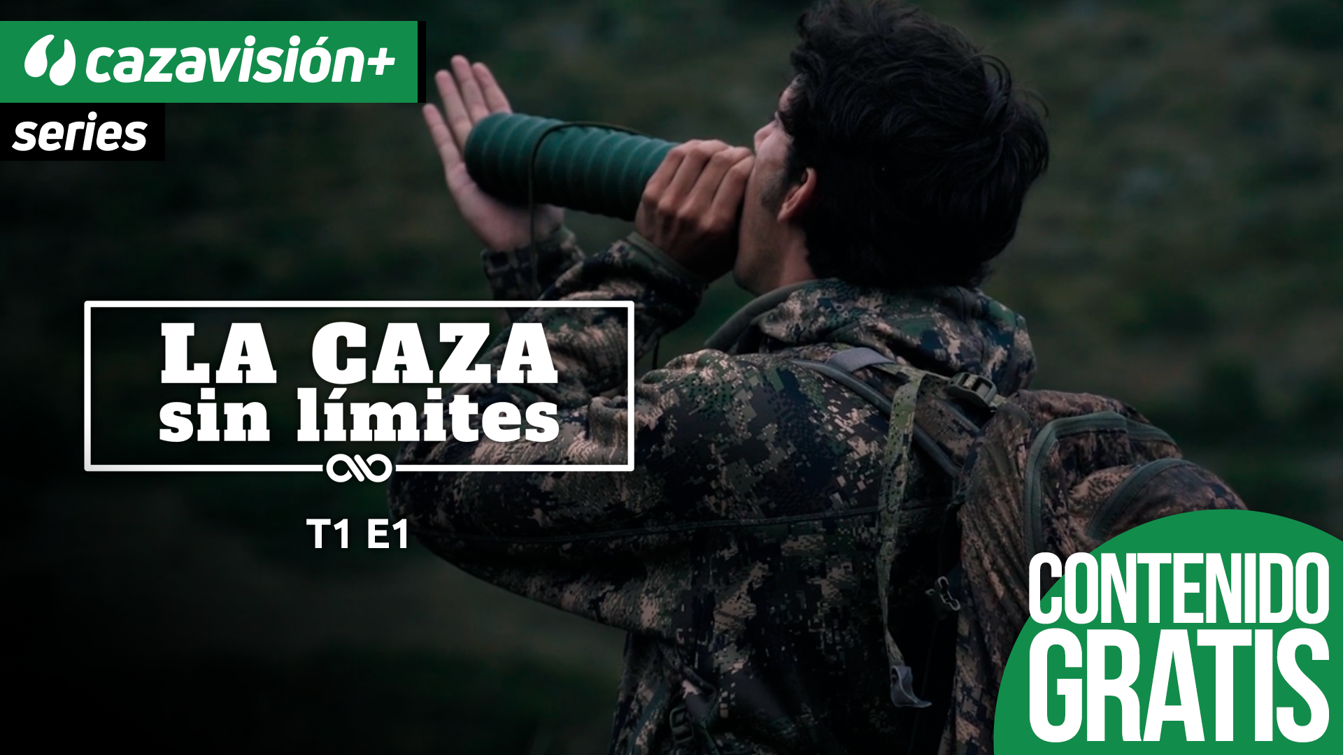 Tras los reyes del bosque palentino