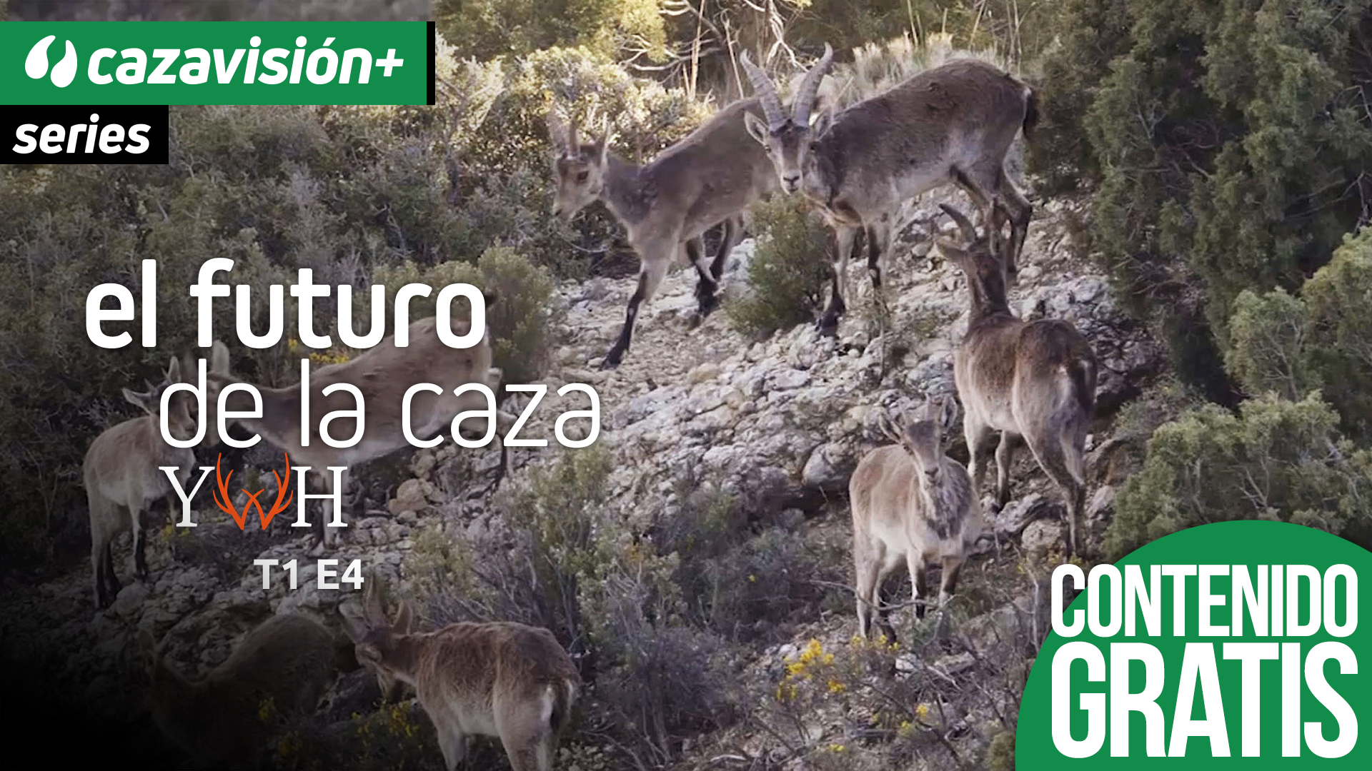 Gestión de hembras en Teruel