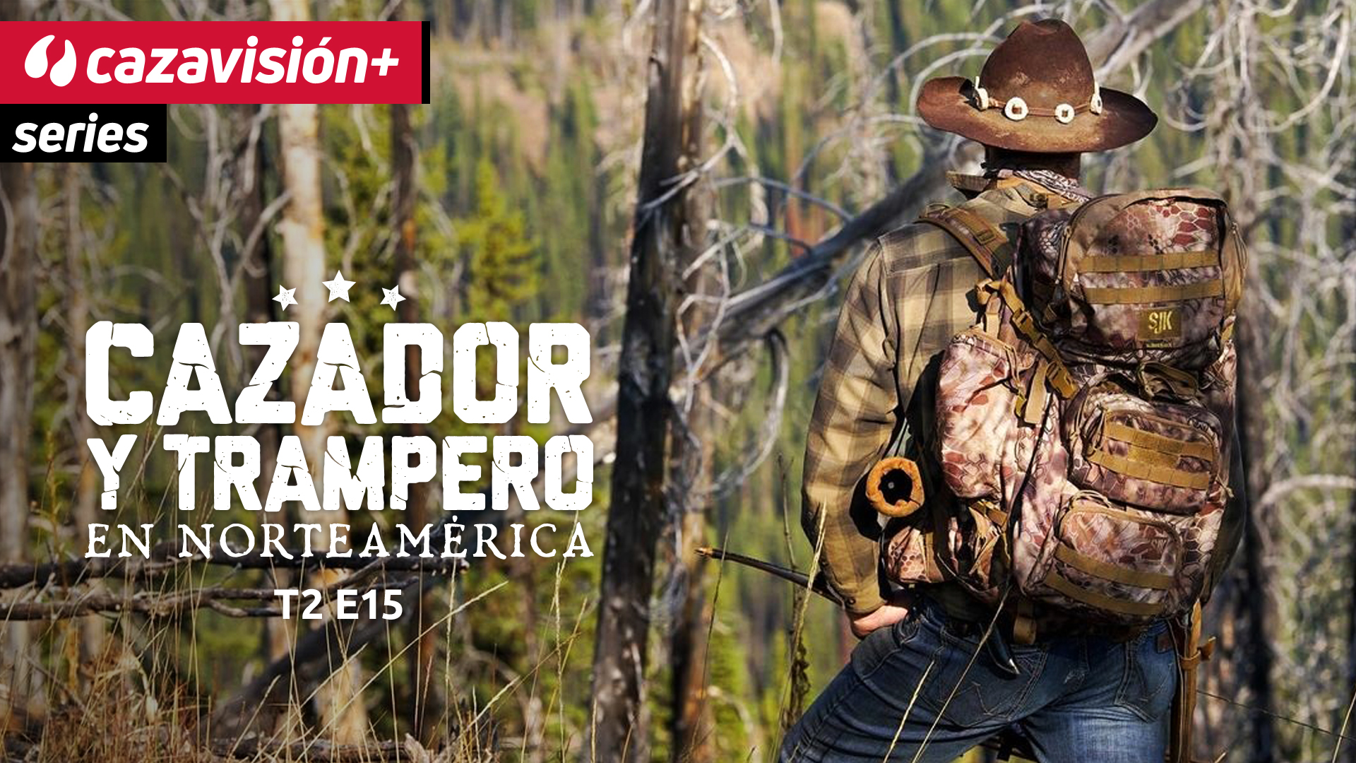 Recechos a los osos negros en la espesura