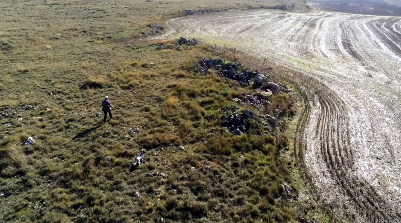 Cuadrillas perdiceras 5