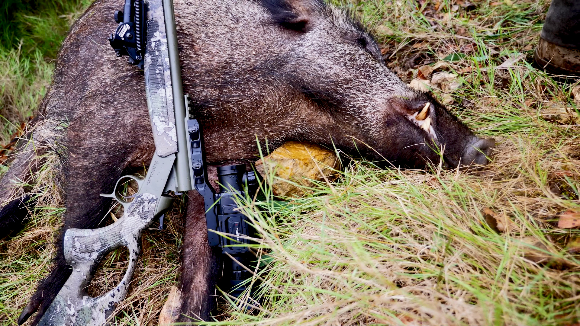 Guarros en Valencia con Hikmicro 