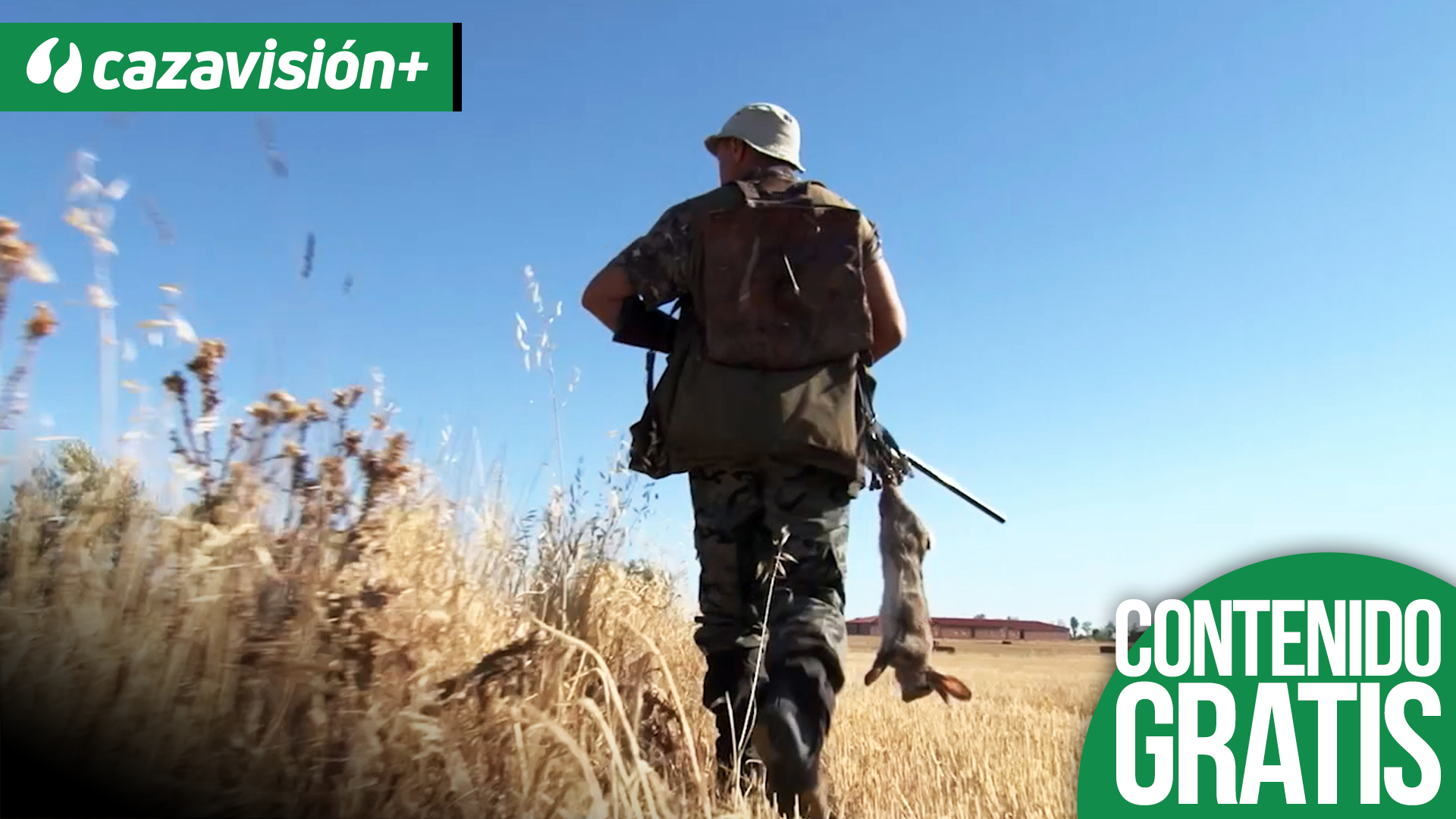 Descaste de conejos en Alcabon