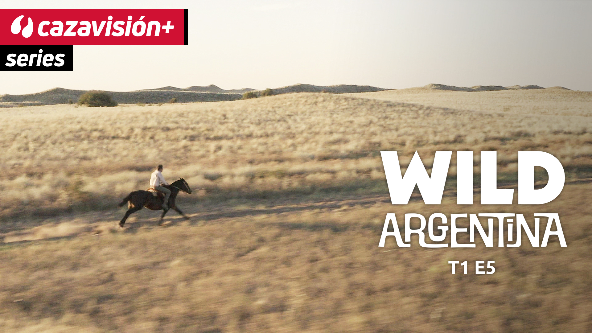 Arreo, gestión y gauchos