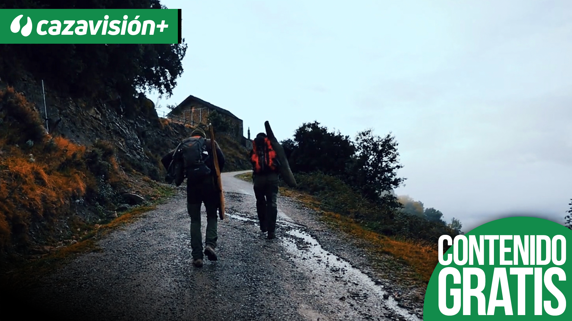 Batida de jabalíes en Huesca