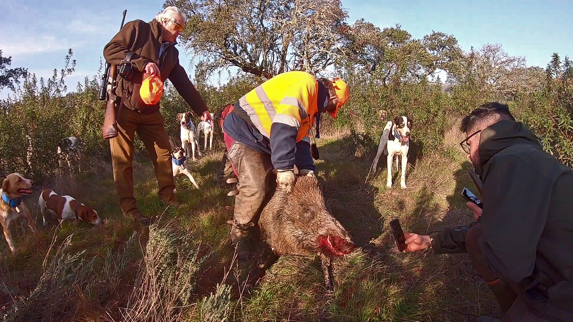 Montería de grandes trofeos en El Cotano