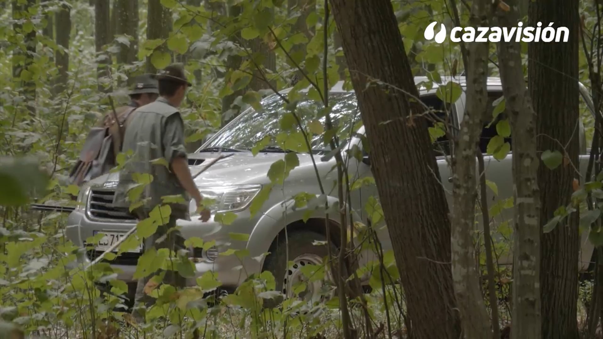 Recechos, venados y bramidos en Bulgaria