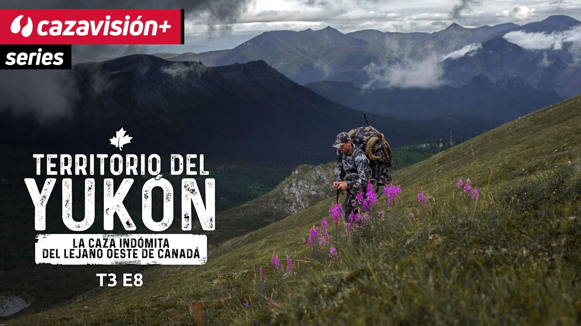 Memorias de montaña. Parte 2