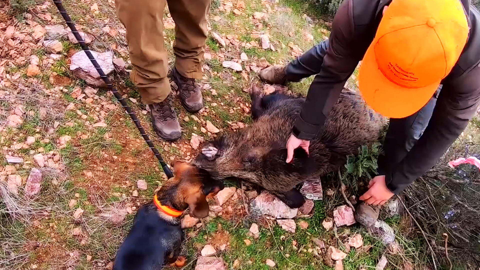 Monteando la Sierra de Caracuel