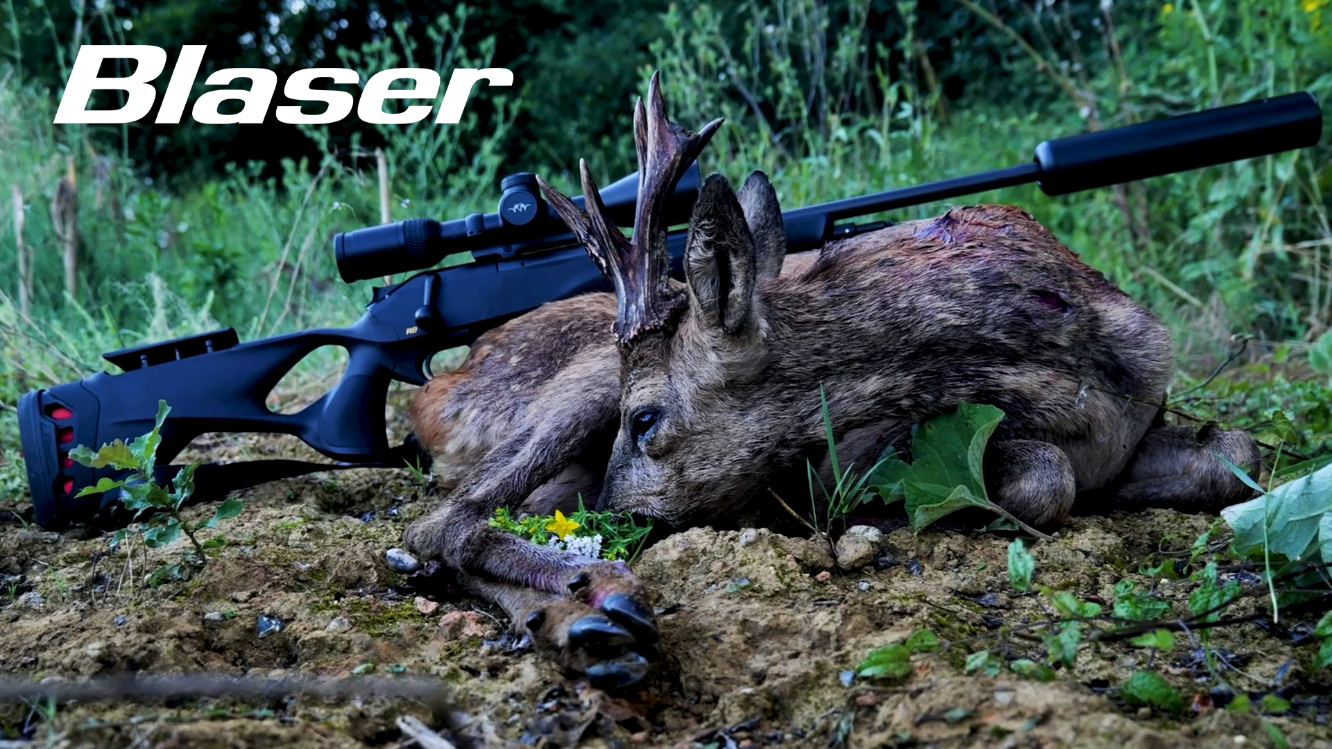 La magia del corzo en el granero de Francia