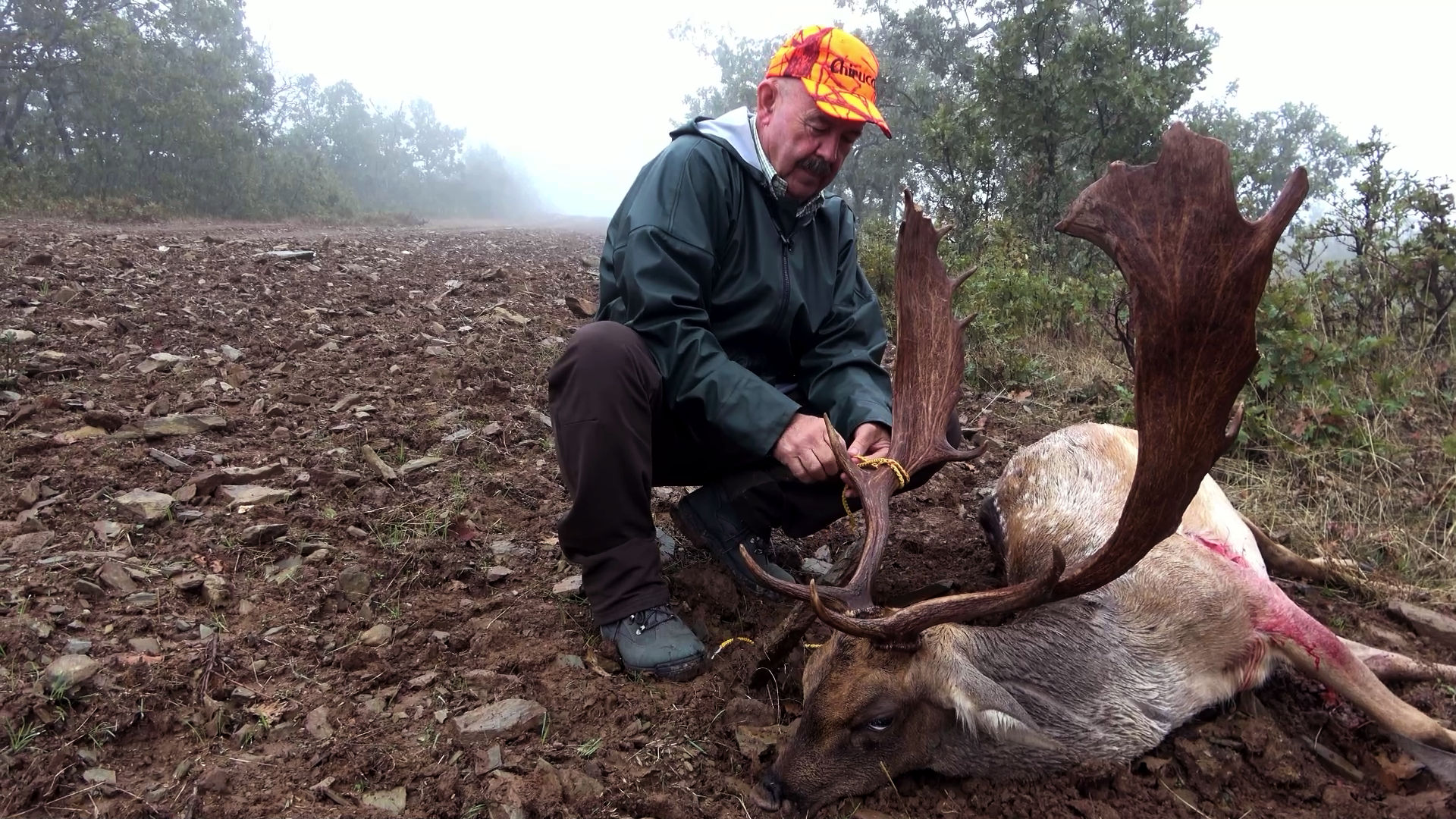 Montería en Cardizales