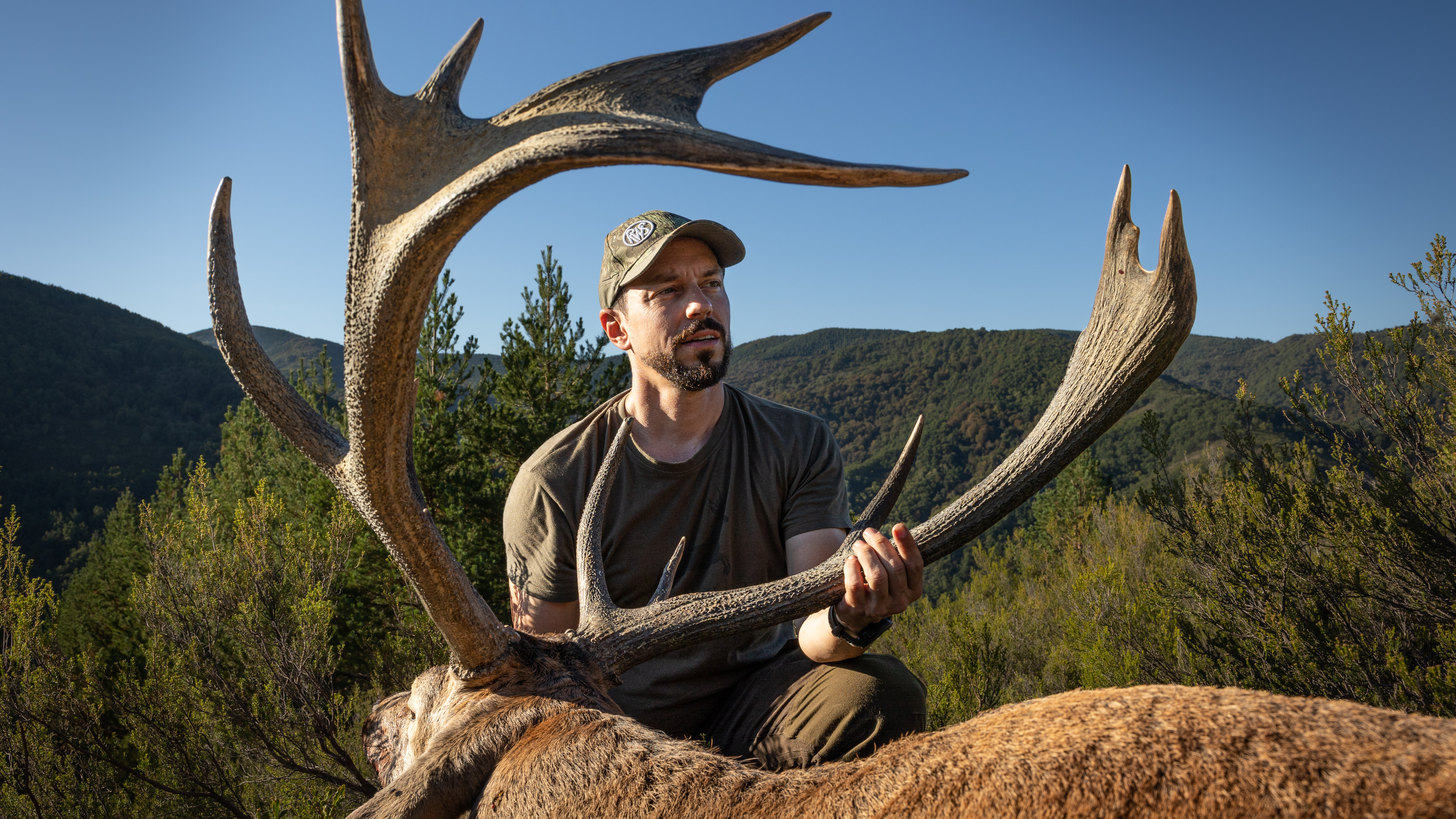 La berrea de Palma Plana