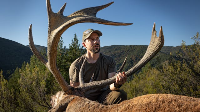 La berrea de Palma Plana