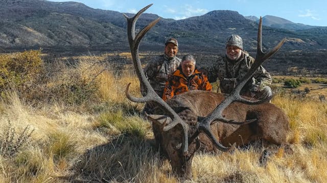 Berrea en los Andes