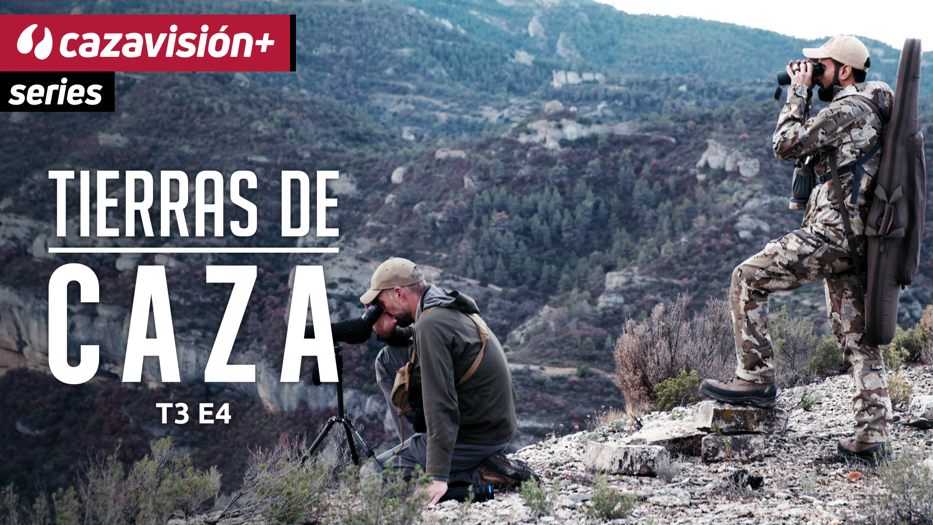 Machos monteses en Beceite