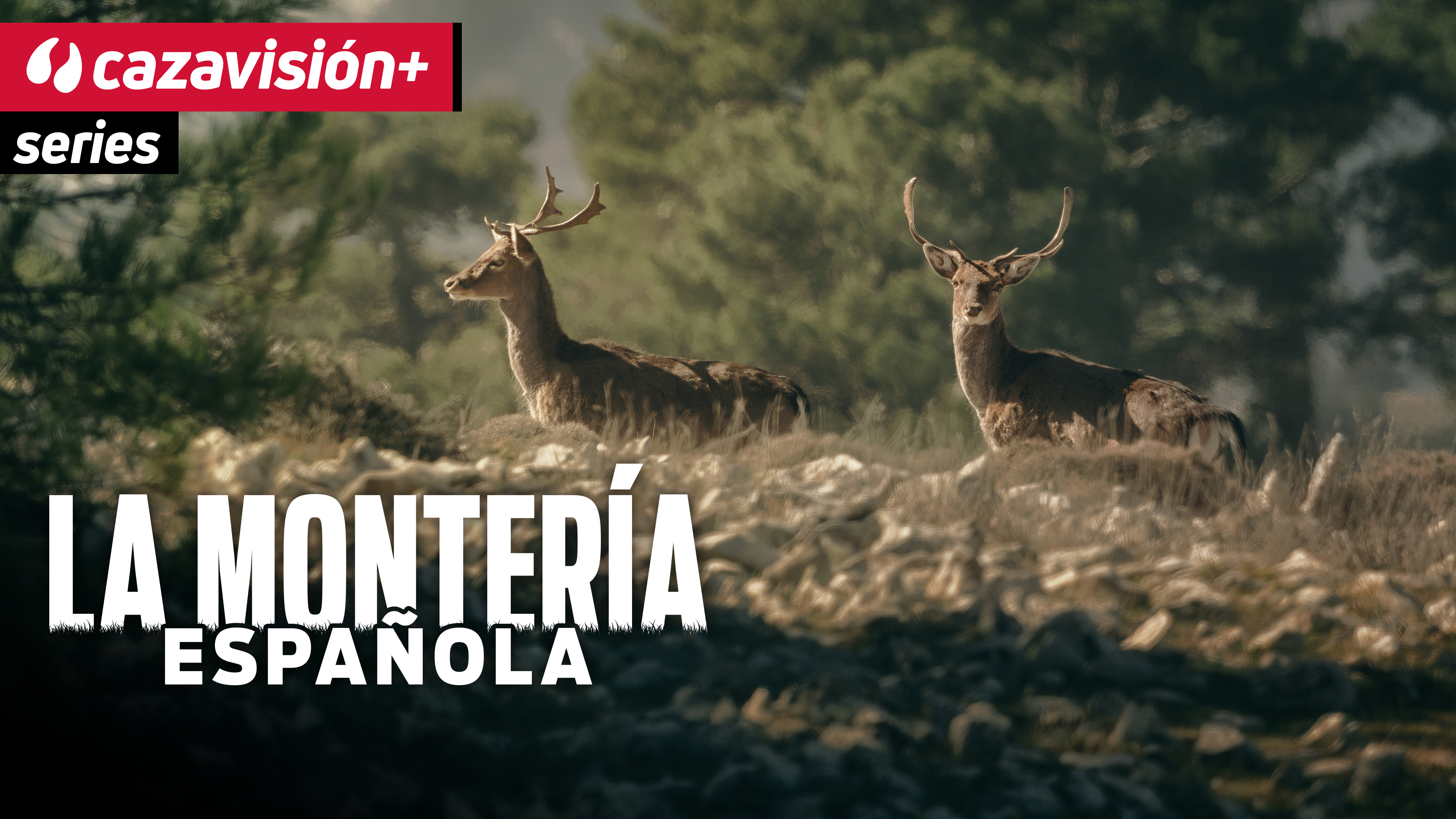 La montería española