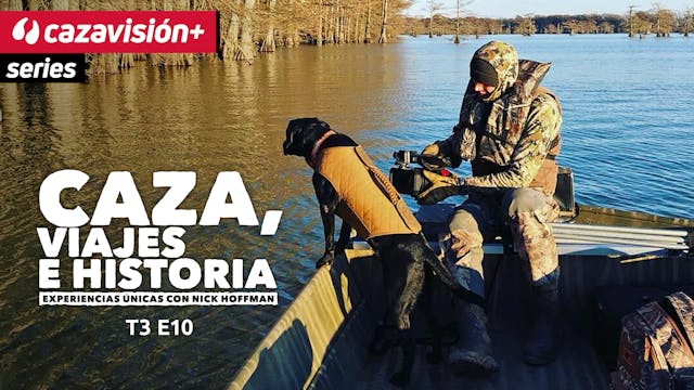 Patos, camiones y barcos