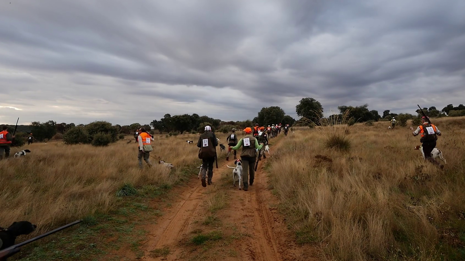 Solidaridad de cazadores