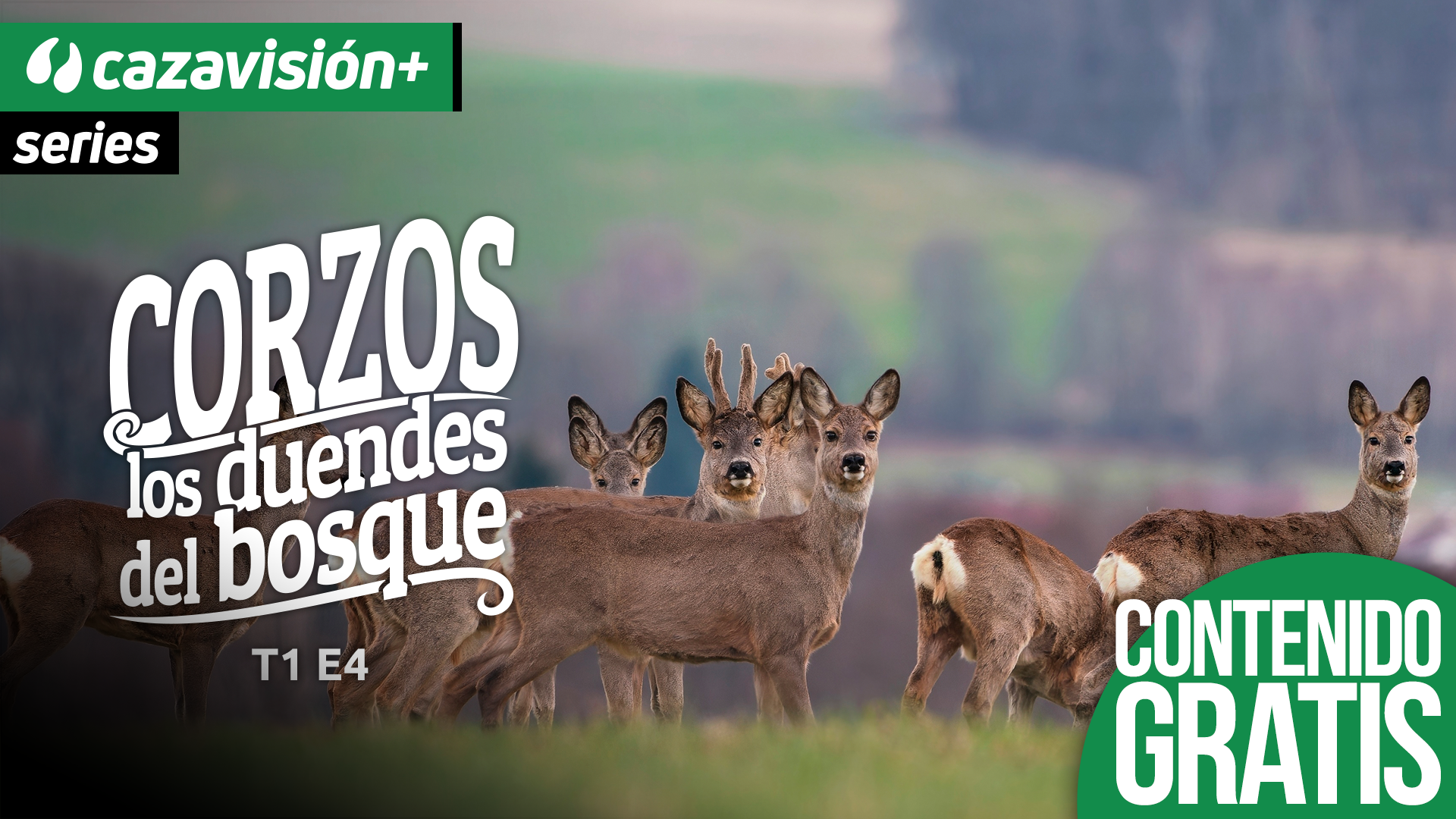 El hábitat: el crisol de los resultados