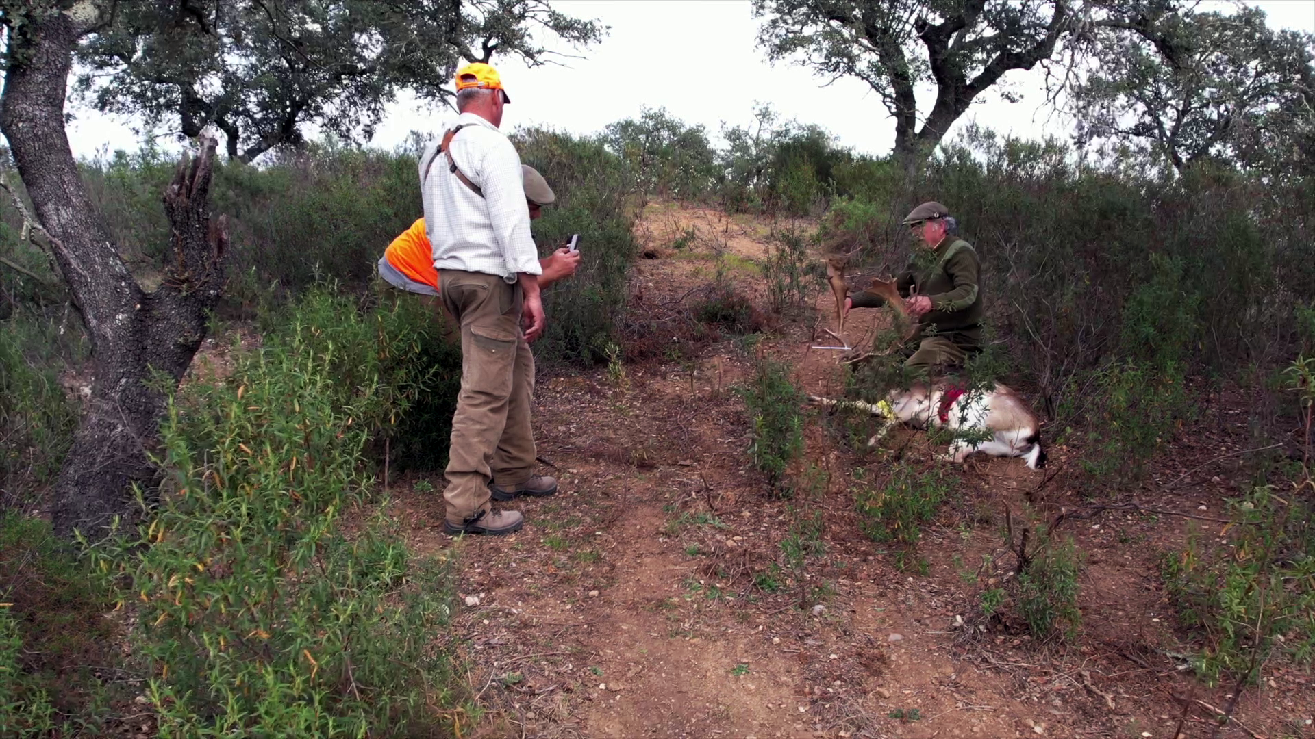 Lances Monteros en la sierra del Mendro de Portugal