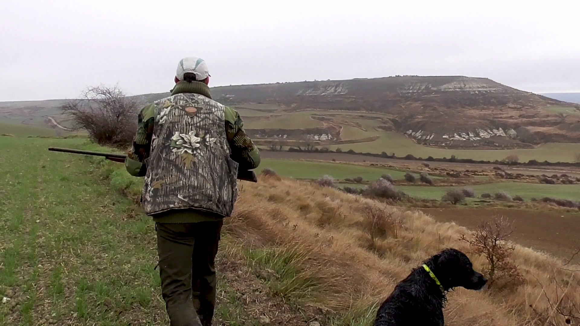 Cuadrillas perdiceras 3