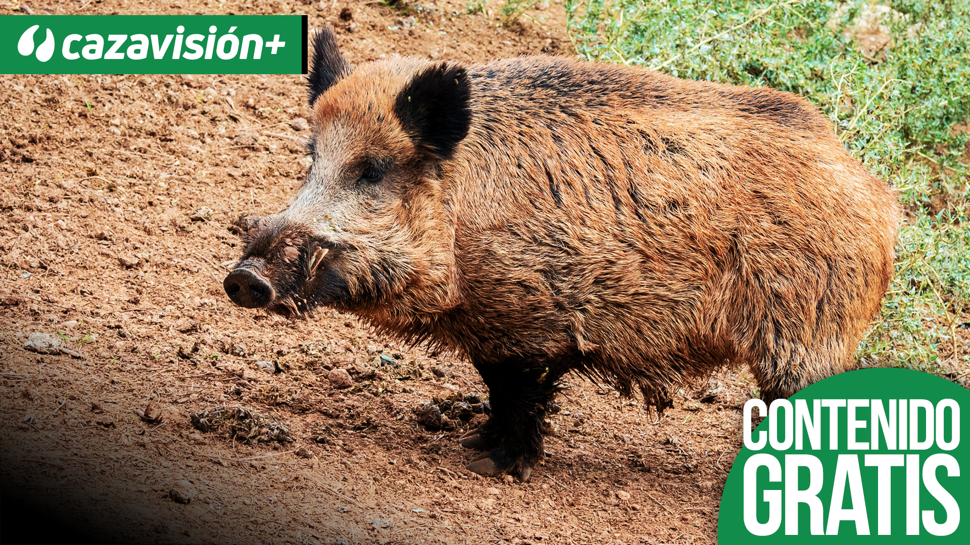 Monteando en Monte da Roquina