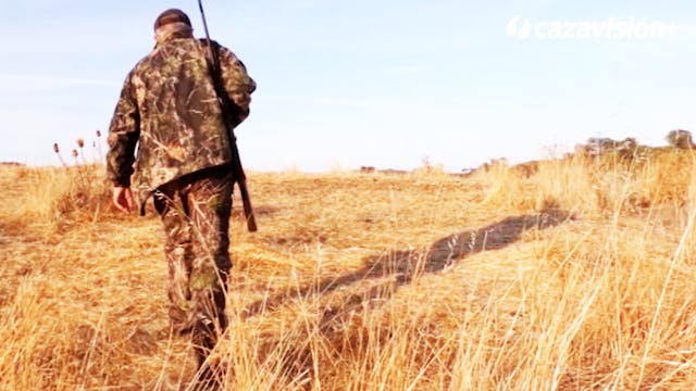 Prueba de armas. Bergara B15 Forest