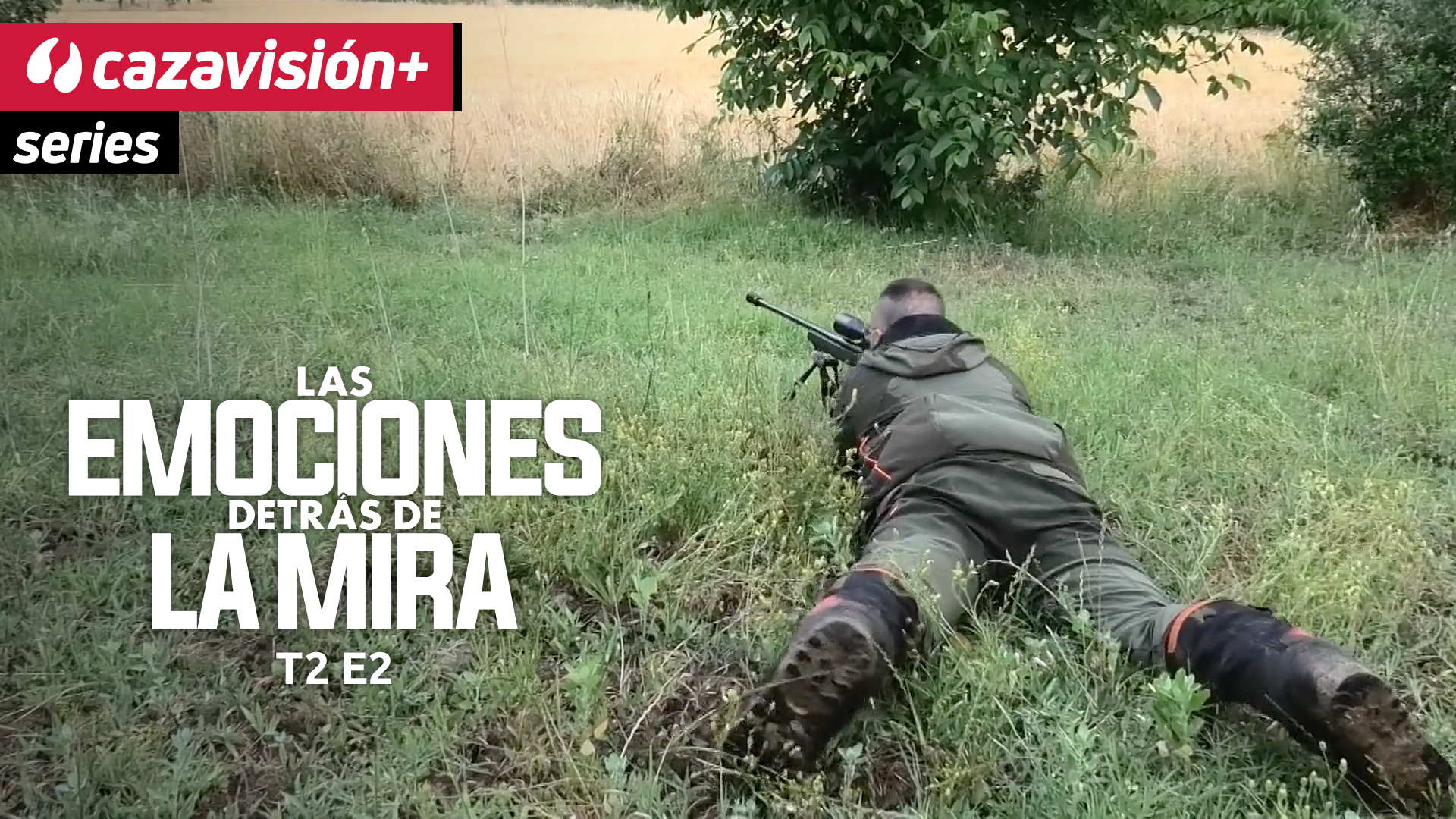 Los guardianes del trigo