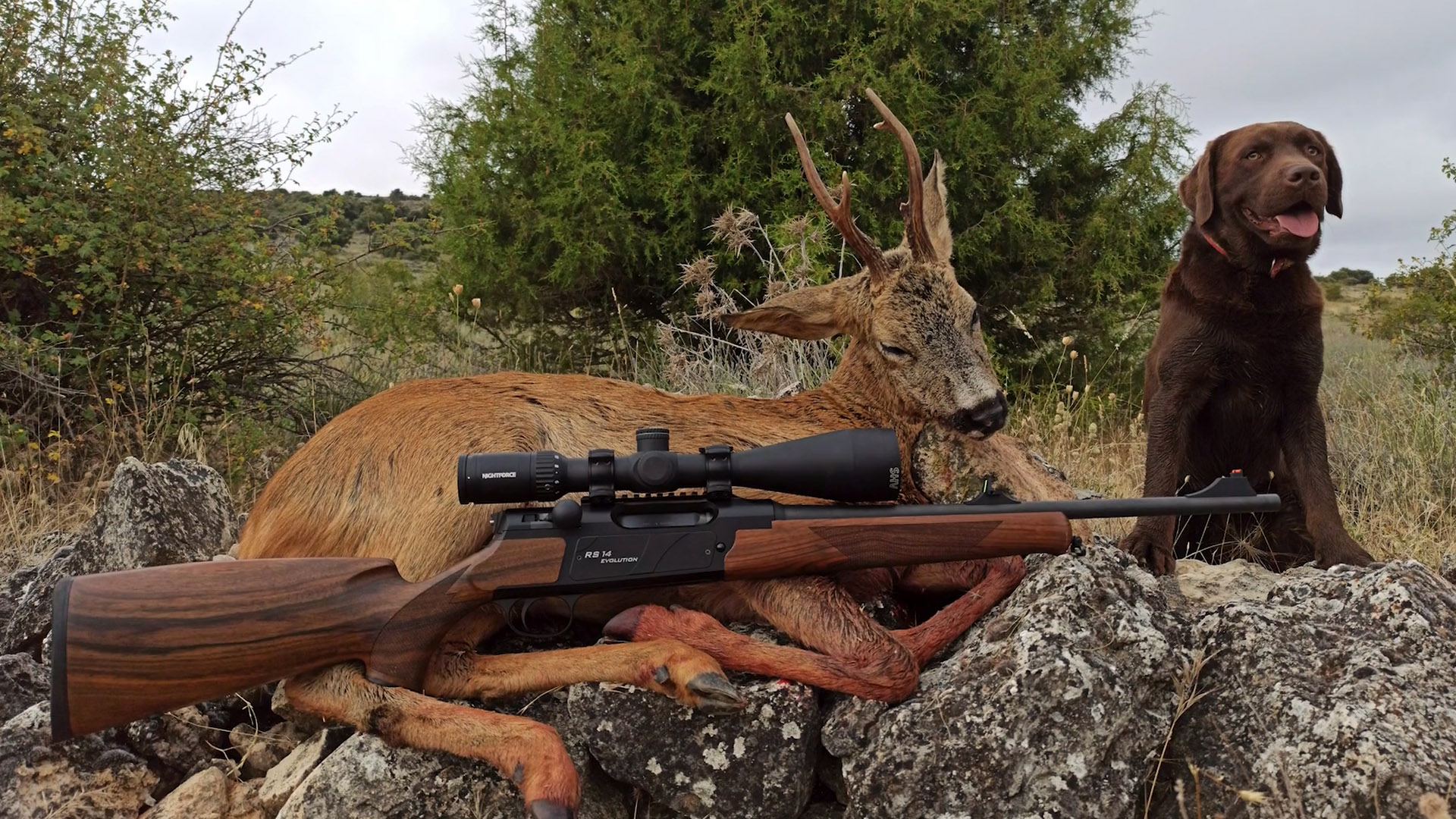 La Armería de Cazavisión Nightforce NX8 2,5-20x50 y linternas Lightforce