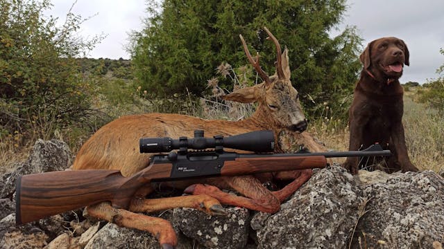 La Armería de Cazavisión Nightforce N...