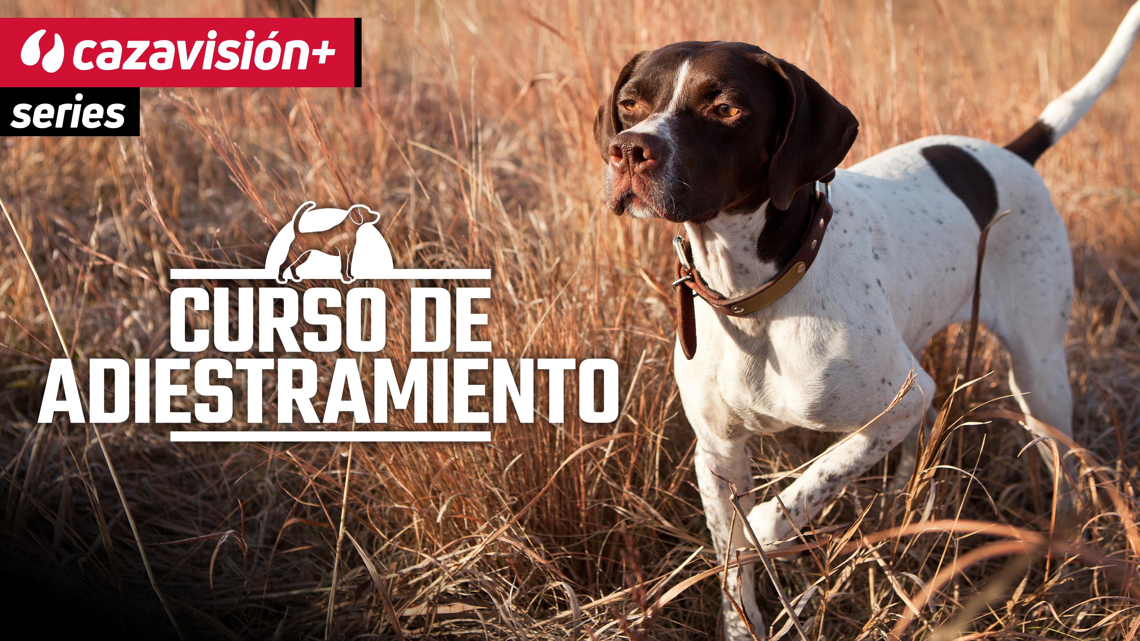 Curso de adiestramiento