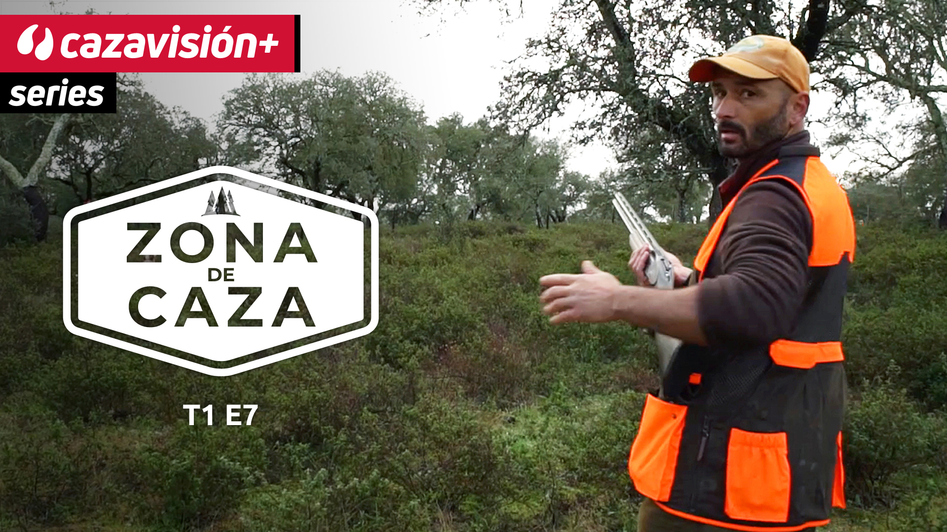 De la enigmática becada a la reina perdiz