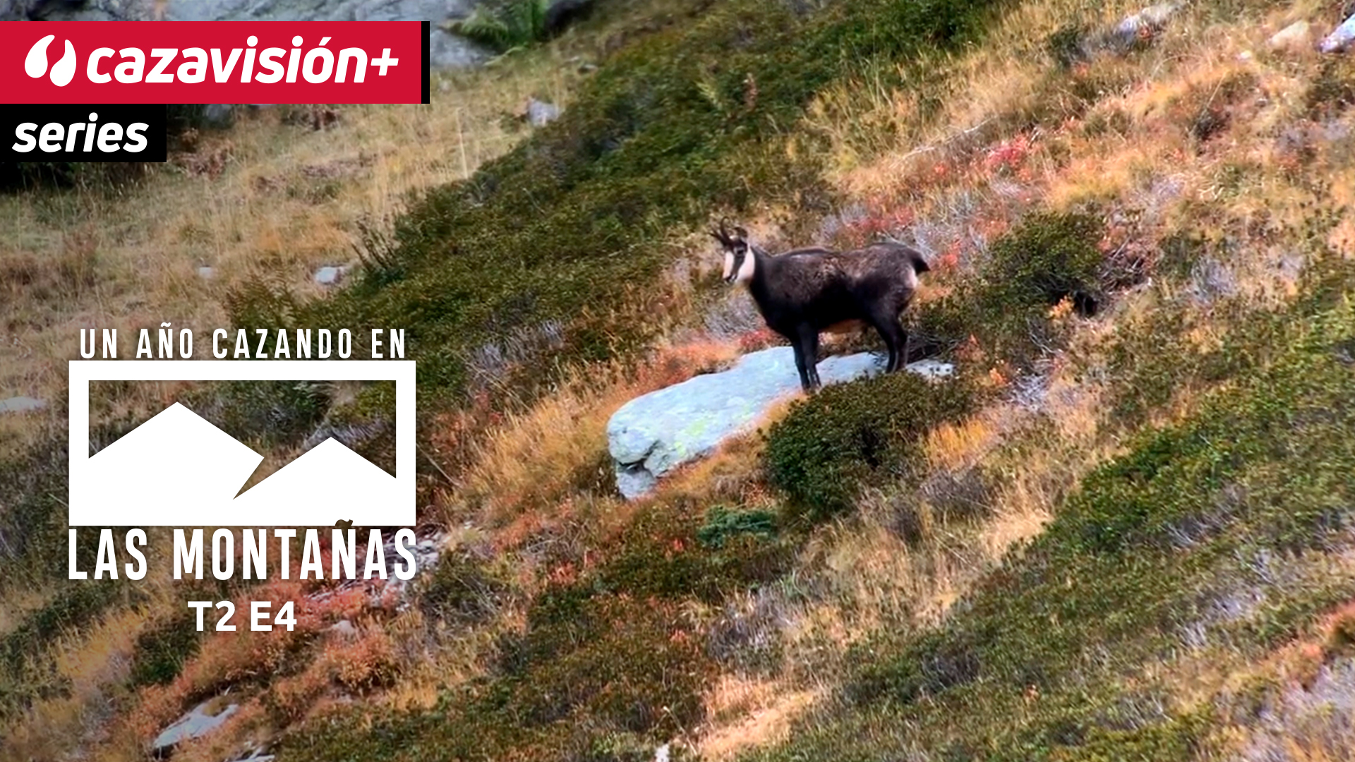 Por los senderos del rebeco