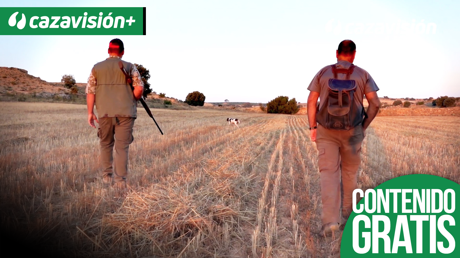 Conejos de la Manchuela