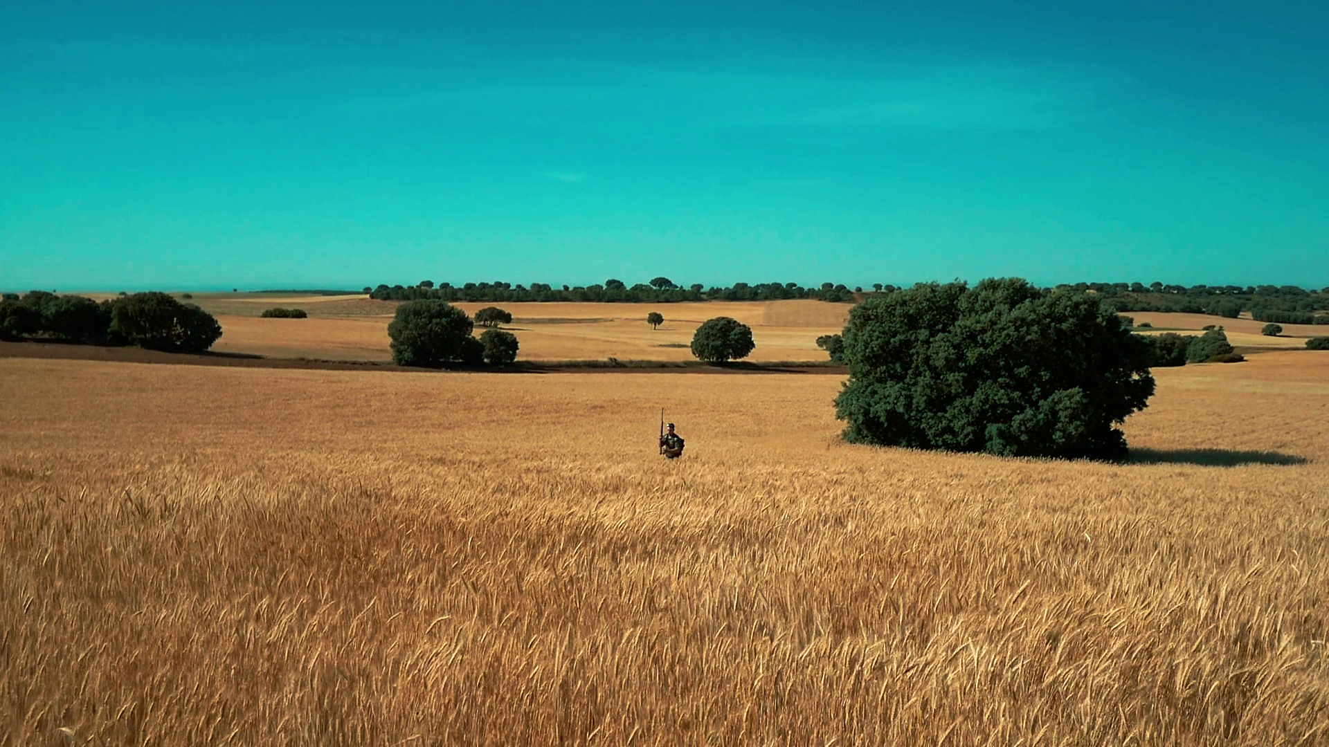 Conejos al salto, sin perro, en Zánjara