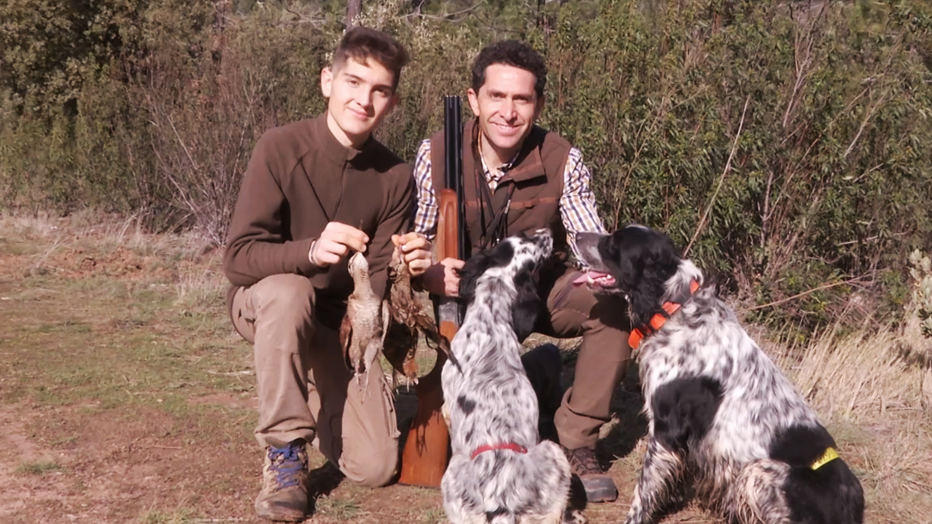 Becadas, una caza natural y de calidad