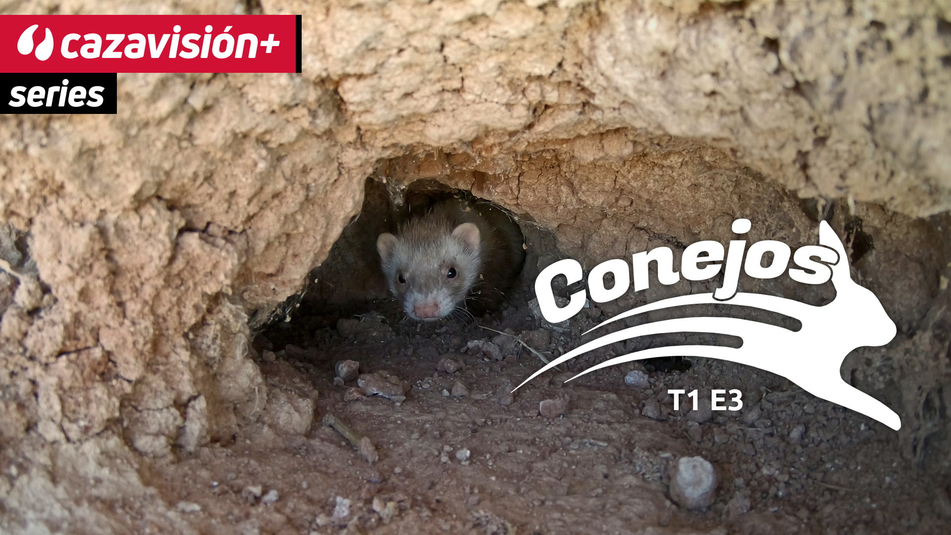 Hurones por daños con Carlos