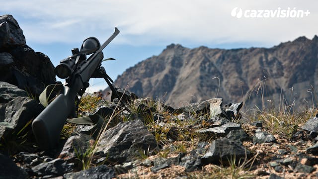 Riaño: paraíso para cazadores y rebecas