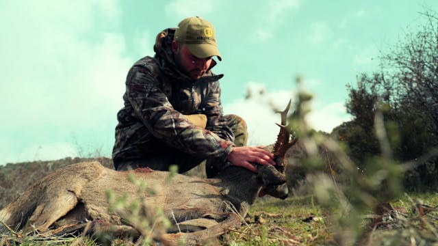 Corzos, nieve y familia