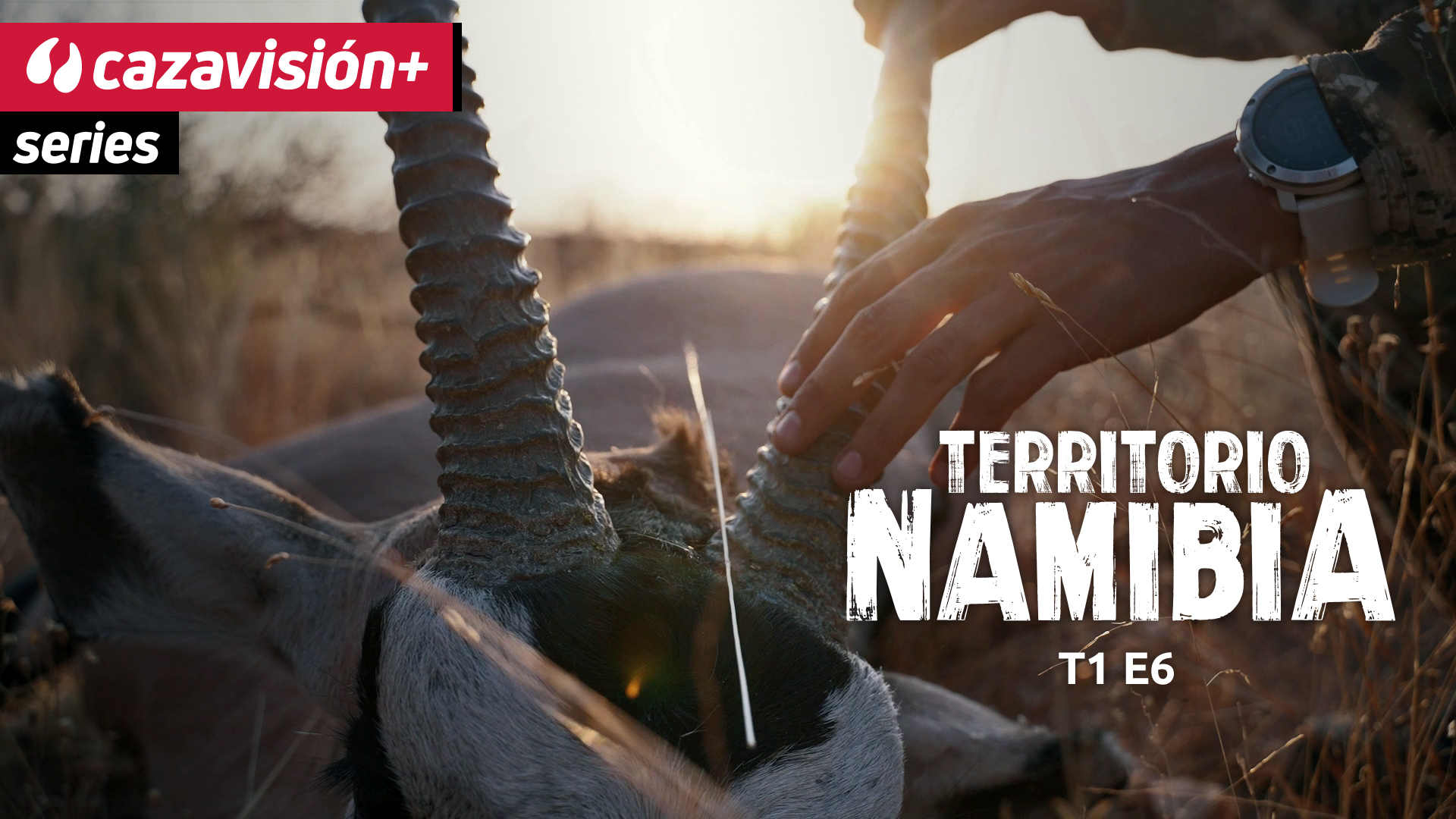 Oryx el espíritu del desierto de Namibia