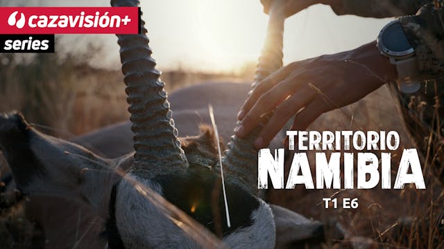 Oryx el espíritu del desierto de Namibia