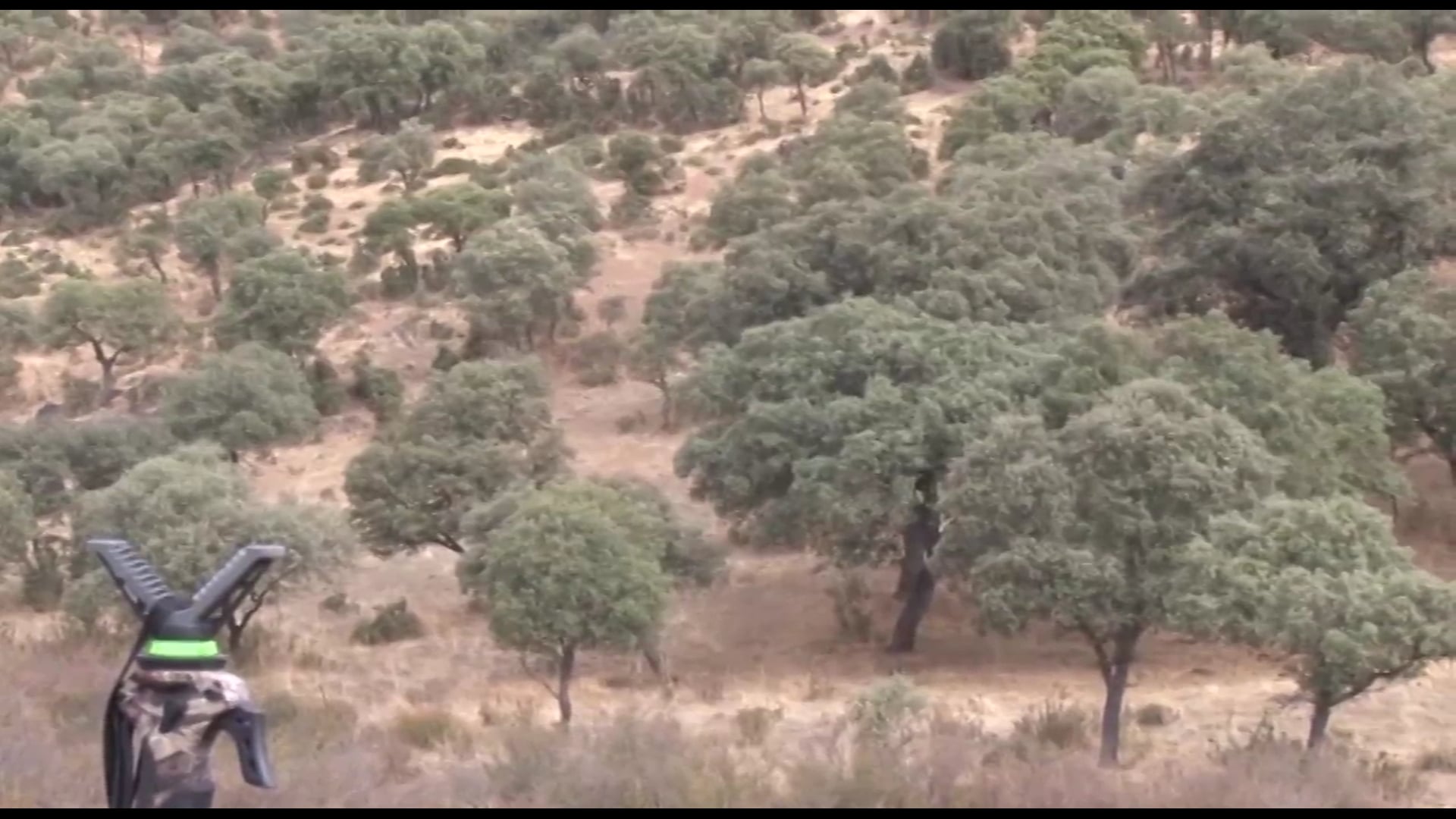 Montería en Las Lomas 2015-2016