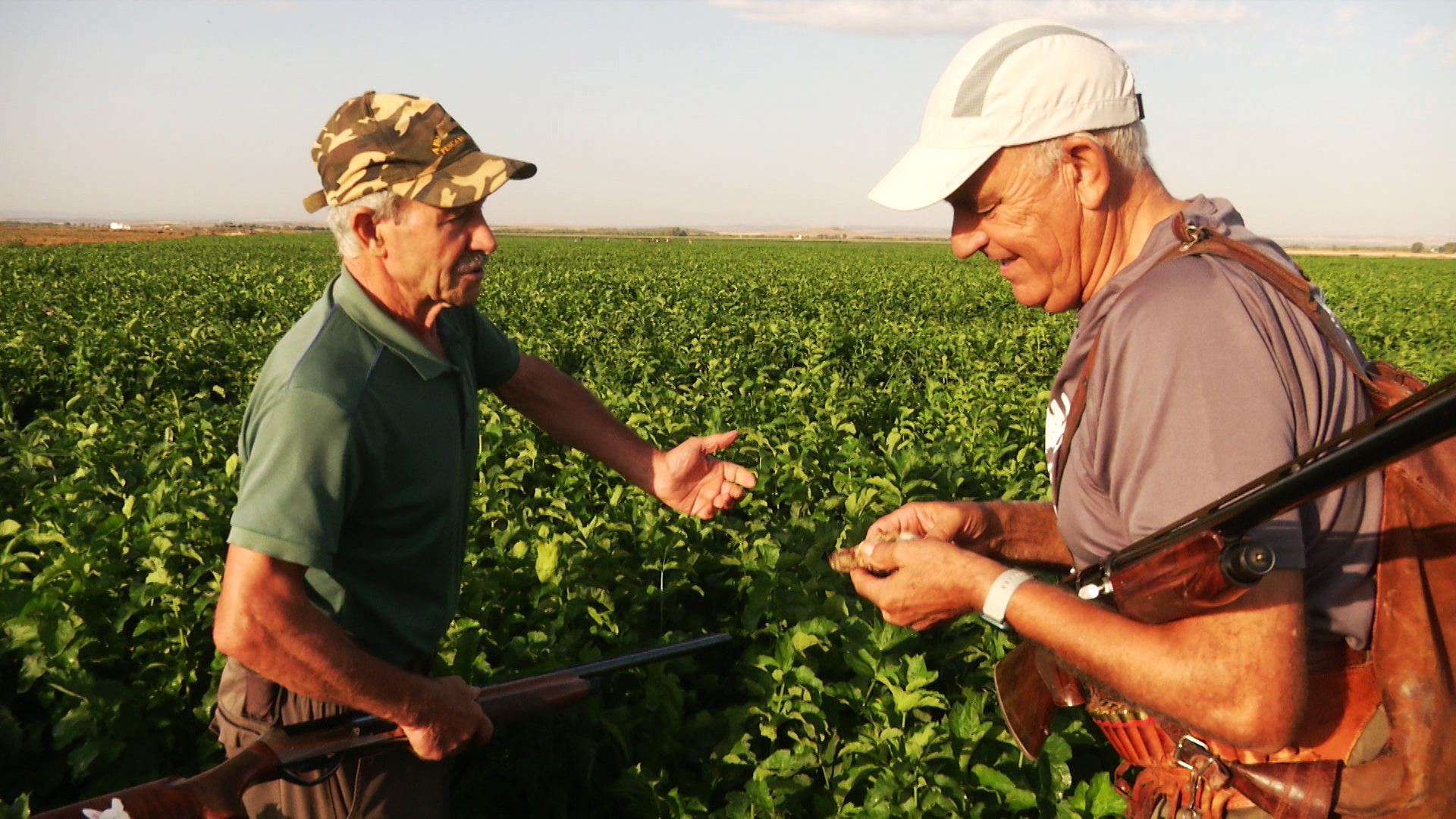 Codornices camperas con Ismael Tragacete