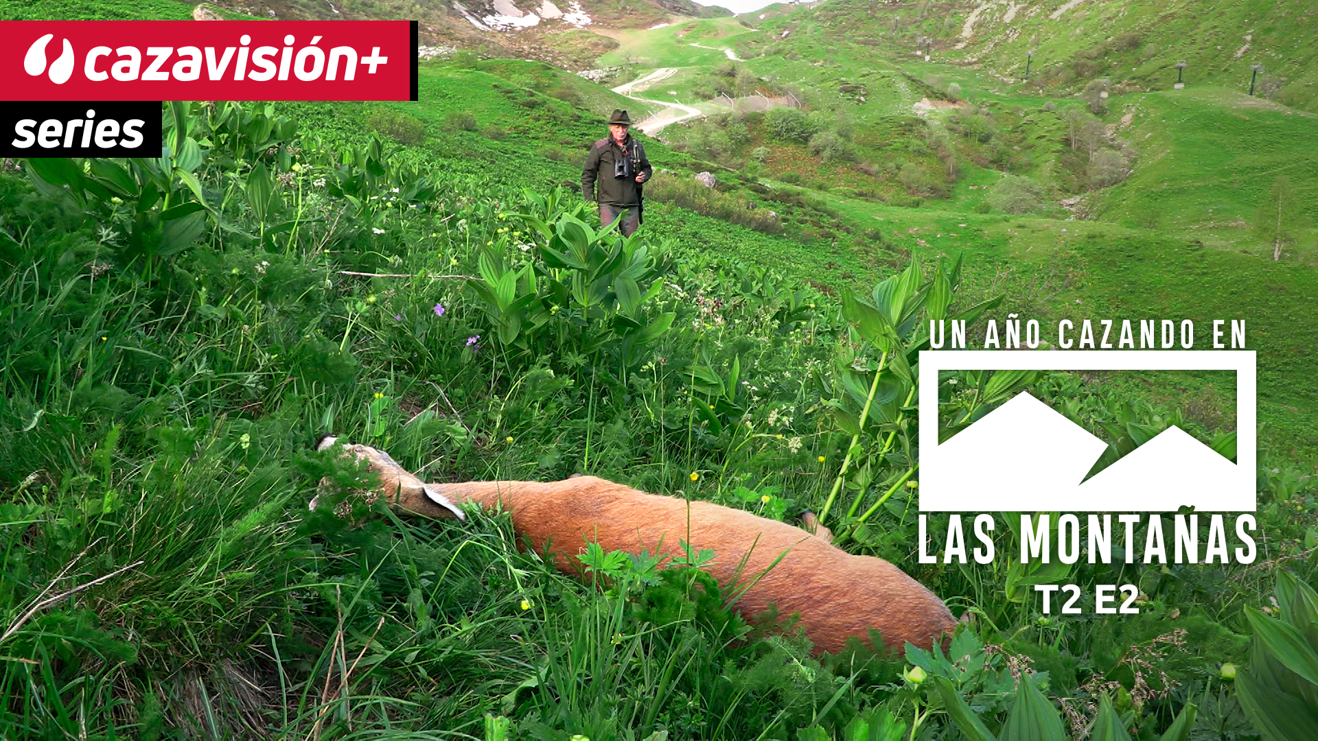 Pasión por el corzo