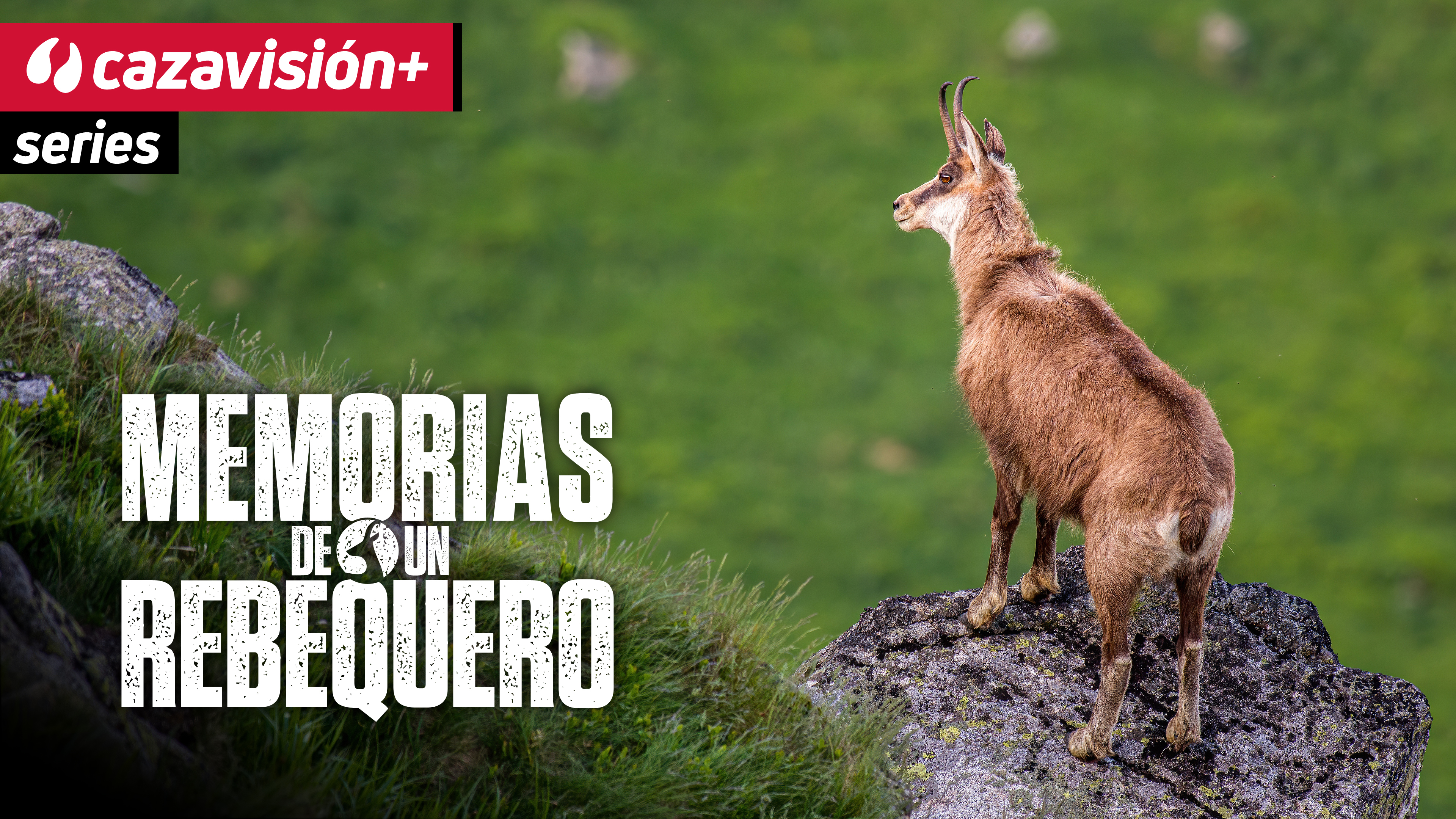 Memorias de un rebequero