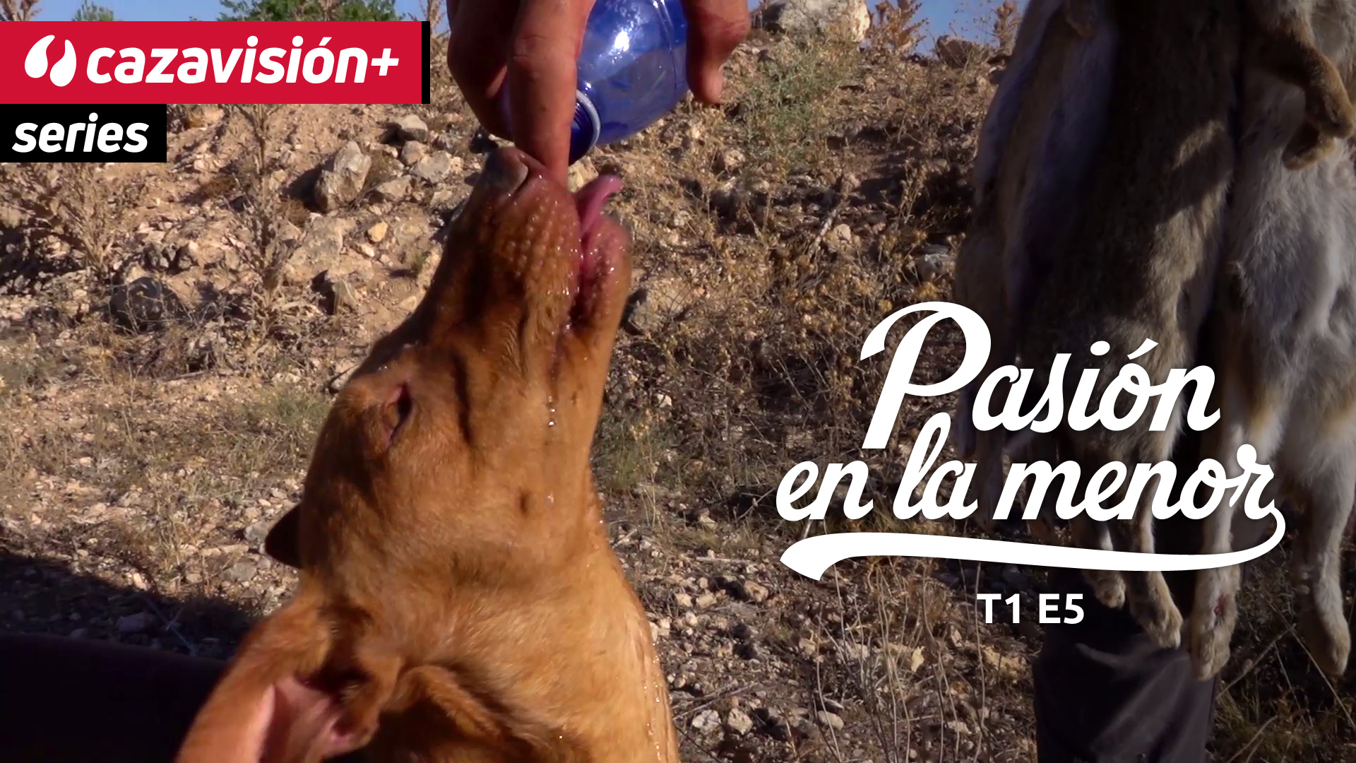 Campo de Criptana: tierra de conejos