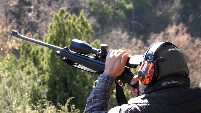 Montería en la Dehesa de Cañizares