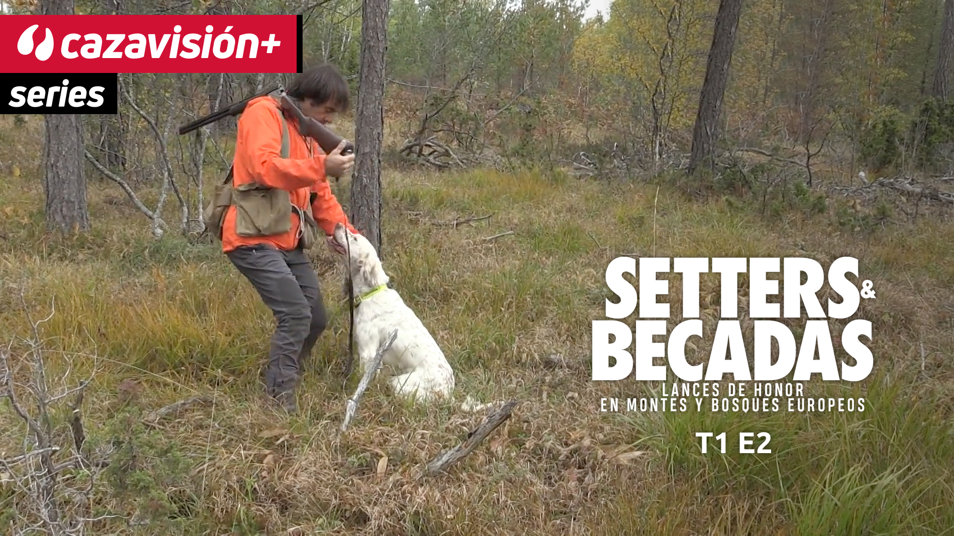 Setters, caza y amistad